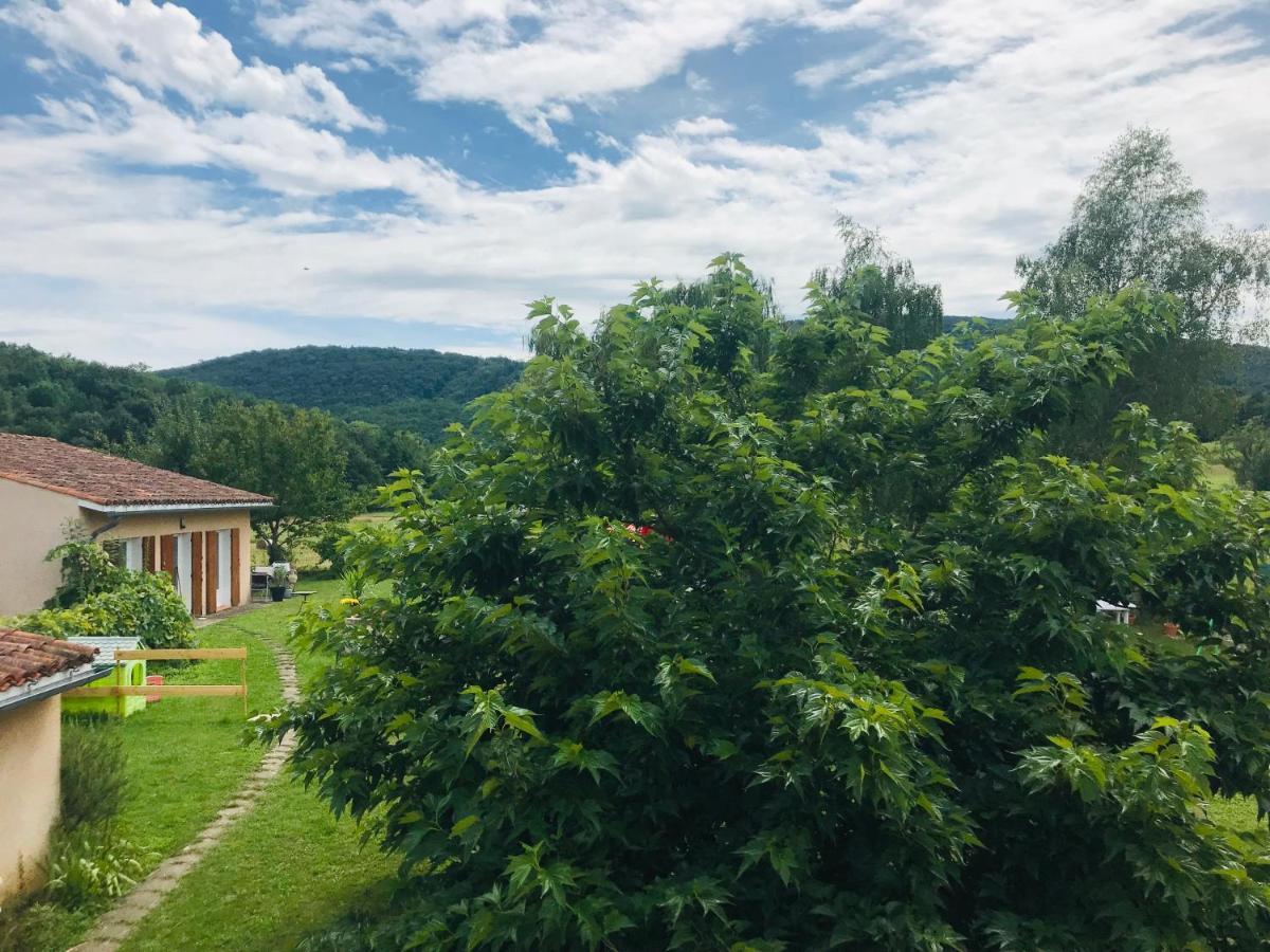 Maison Tranquillite Montegut-Plantaurel 外观 照片
